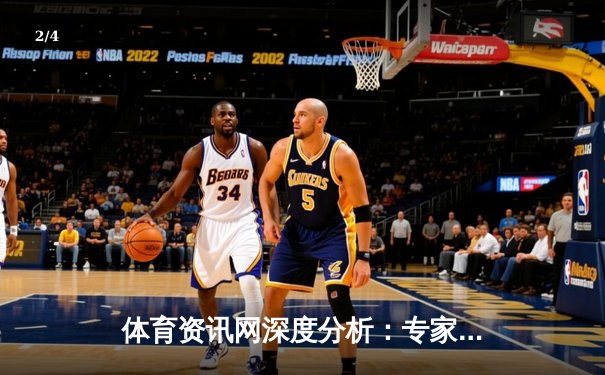 体育资讯网深度分析：专家解读 - 2